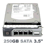 G998R Dell 250-GB 7.2K 3.5 SATA w/F9541 - фото 42306
