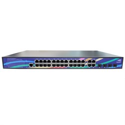 Коммутатор Netelit NTL-S3924P-G4C-450W - фото 49215