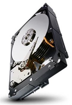 Жесткий диск Seagate 500GB SATA 3,5", ST500NM0011 - фото 54513
