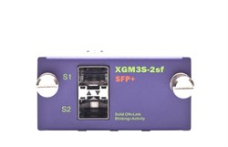 Модуль расширения Extreme Summit XGM3-2SF - фото 55389