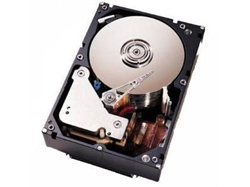 Жесткий диск IBM 500GB 1.5G 7.2K 3.5" SATA, 42D0389 - фото 55489