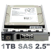 XDJKW Dell 1-TB 6G 7.2K 2.5 SAS w/G176J