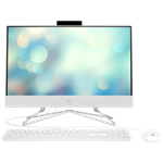 Моноблок HP 22-dd2004ci NT 21.5" FHD(1920x1080) Pentium J5040, 4GB DDR4 2400 (1x4GB), SSD 256Gb, Intel Internal Graphics, noDVD,Rus/Eng kbd&mouse wired, HD Webcam, Snow White, FreeDos, 1Y Wty