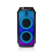 Dsppa колонка с 2 беспроводными микрофонами DSPPA 120W Party Speaker with 2 Wireless Microphone