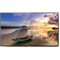 Профессиональный дисплей GoodView 49" AD display, 450cd/m2, 24/7, FHD - фото 45189