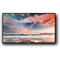 Профессиональный дисплей GoodView 55" AD display, 600cd/m2, 24/7, FHD - фото 45191