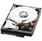 Жесткий диск HP 146Gb Ultra320 SCSI Hot-Plug Hard Drive 10, 404708-001 - фото 54575