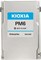 Nvme ssd диск Infortrend Kioxia, U.3 NVMe SSD, PCIe Gen4, 3.84TB, DWPD=1, with bundle key 3YW (for UR2 / URT2) - фото 59682