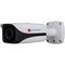 Уличная цилиндрическая IP камера ActiveCam AC-D2163WDZIR5 - фото 6044